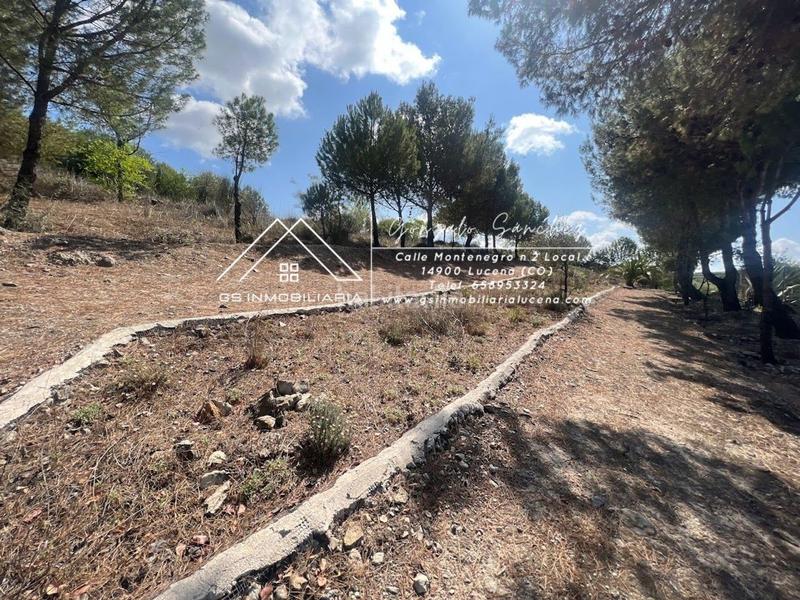 Foto 98d35396-0588-4414-ab9c-96406bd1cf46. Terreno residencial en El Carmen - La Barrera Lucena
