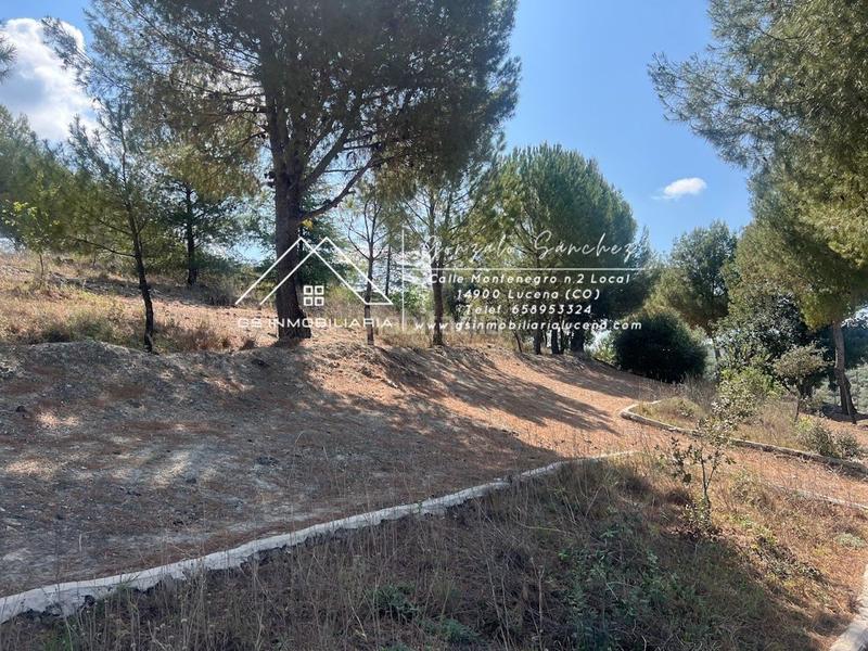 Foto 21feeeac-0396-43b5-8997-69afa87c7ee8. Terrain résidentiel dans El Carmen - La Barrera Lucena