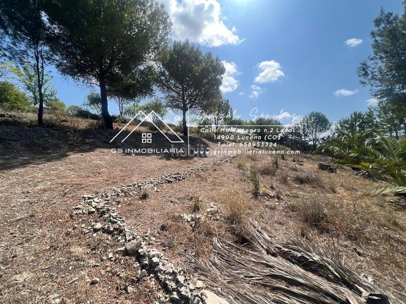 Foto 62fb703b-7c9b-4b94-a9a6-2c9bf73fa5f4. Terrain résidentiel dans El Carmen - La Barrera Lucena