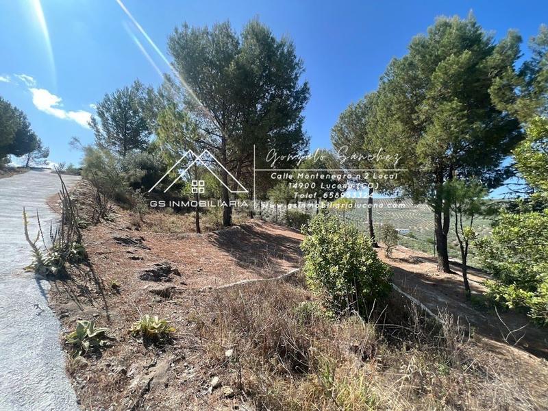 Foto d84b2e70-90ce-498f-9d8c-4279da73e6fc. Terrain résidentiel dans El Carmen - La Barrera Lucena