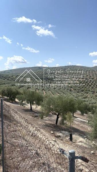 Foto eff4037d-033c-4bb6-90f3-5e44b75652b8. Terrain résidentiel dans El Carmen - La Barrera Lucena