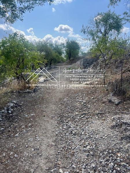 Foto 88cd798c-8c1f-4d0b-b987-95c3a5065195. Terreno residenziale in El Carmen - La Barrera Lucena