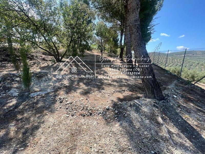 Foto a93f6041-b085-418b-9d94-7eebab4a894b. Terreno residenziale in El Carmen - La Barrera Lucena