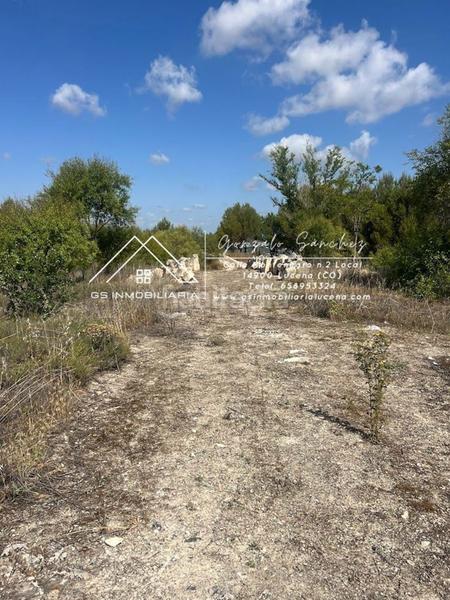 Foto e4237812-b7c9-4d29-b69f-c176d8914ad2. Terreno residenziale in El Carmen - La Barrera Lucena