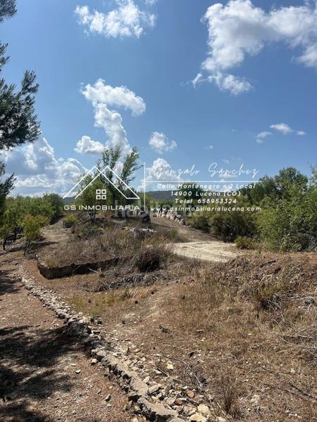 Foto ec1962a9-5b14-423e-9f46-a47adbc065f3. Terreno residenziale in El Carmen - La Barrera Lucena