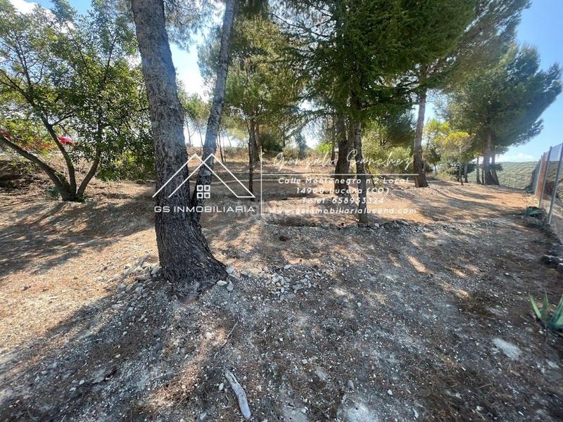 Foto f5659dc3-434d-485f-bd90-defa112e0071. Terreno residenziale in El Carmen - La Barrera Lucena