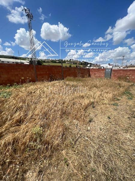 Foto 0254cc55-8c15-49b3-a08e-101f1a7b5a53. Terreno residenziale in El Carmen - La Barrera Lucena