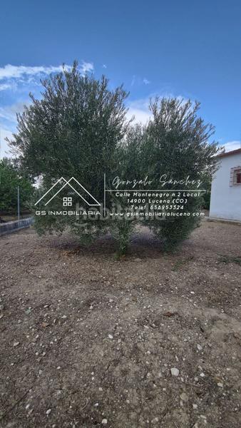 Foto ea700fe9-5f88-42f2-bfc3-2c7dc8f3d70f. Haus mit heizung in Poleares Lucena