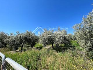 Landgut in Las Vegas - Campoaras