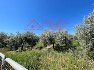 Rural plot in Las Vegas - Campoaras