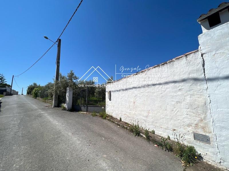 Foto 29828b6c-825a-4fb1-b3e9-9b23aa5eddc2. Finca rústica en Las Vegas - Campoaras Lucena