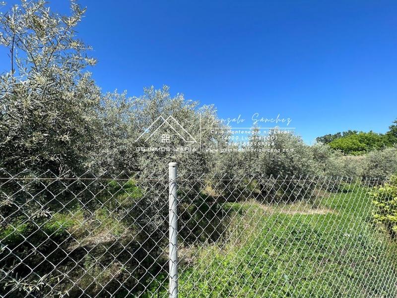 Foto 2ad94ff7-41d2-4222-8c25-0746350294a3. Finca rústica en Las Vegas - Campoaras Lucena