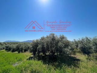 Finca rústica a Las Vegas - Campoaras