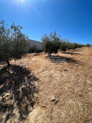 Terreny residencial a Encinas Reales