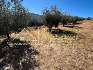 Terreny residencial a Encinas Reales