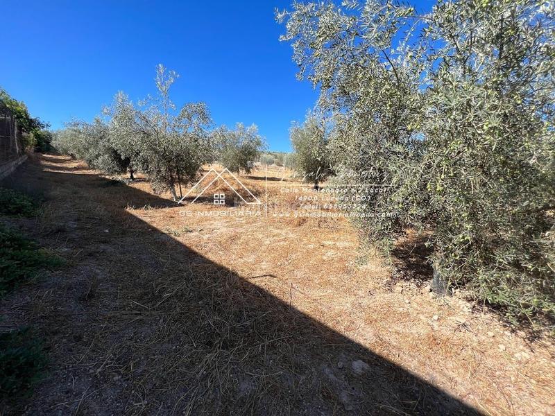 Foto 1c71b4f7-98b5-41c1-a145-a084d3ebdeeb. Wohngrundstück in Encinas Reales