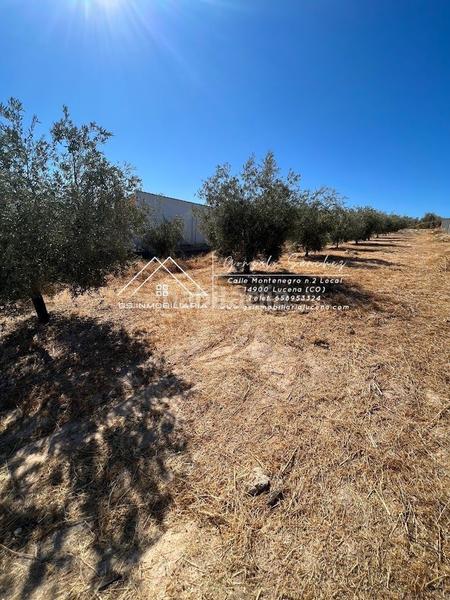 Foto 32957fb9-61c2-4c16-8231-bd4c64679ce2. Wohngrundstück in Encinas Reales