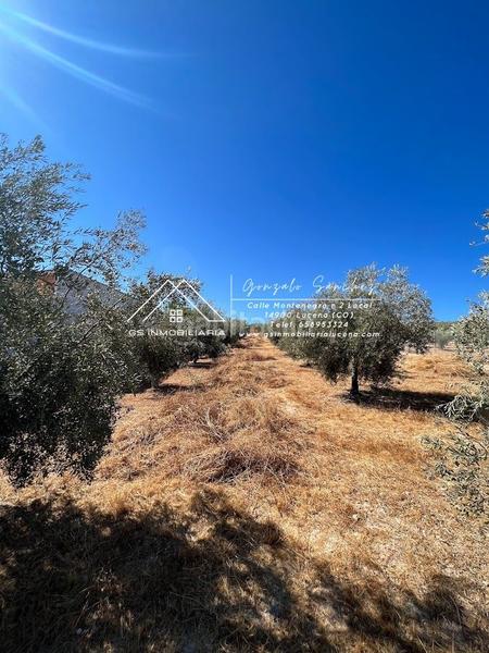 Foto 5ef13910-f037-4d3a-9a42-5d605cc93e15. Wohngrundstück in Encinas Reales