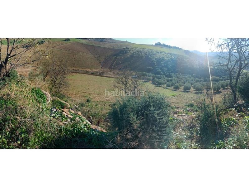 Foto 41e57bc7-d2ae-4fdc-b7d7-a9fcf31aa567. Propriété dans Casabermeja