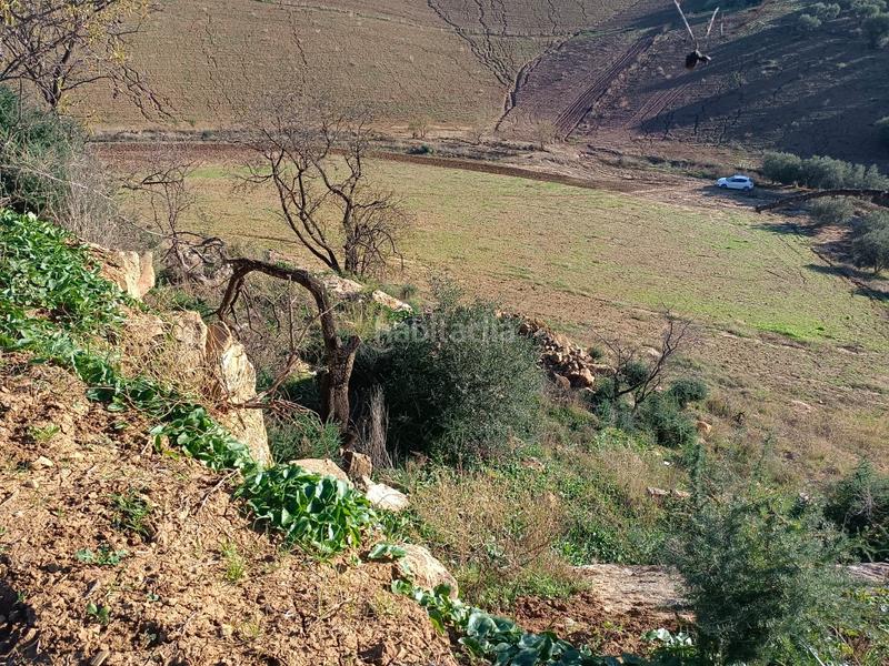 Foto 4d5942d3-d2bf-4bf2-acab-516649e34540. Propriété dans Casabermeja