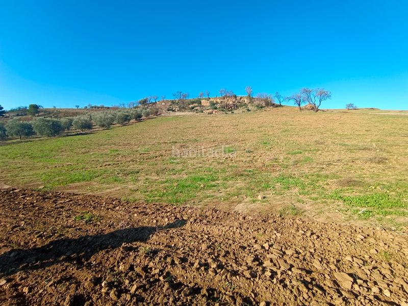 Foto 872f0476-dad3-45a4-aa24-d94dad307155. Propriété dans Casabermeja