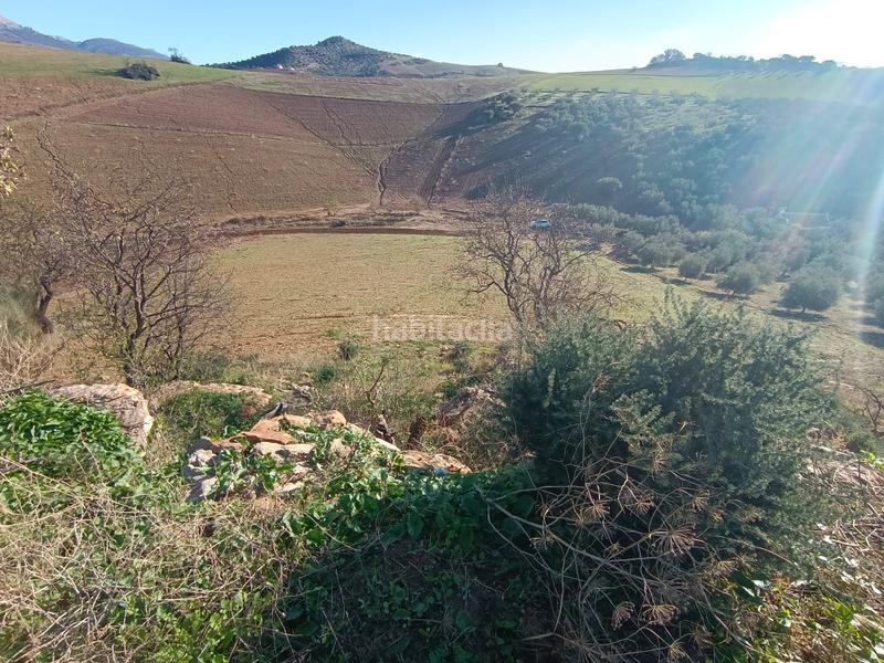 Foto d72b0bc1-ddef-43ac-83e9-cd8bed93dc1e. Propriété dans Casabermeja