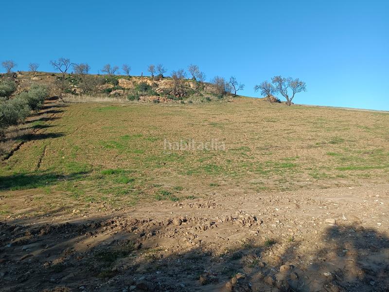 Foto fae071ec-a8ff-49c7-b734-2b18993ca6a9. Propriété dans Casabermeja