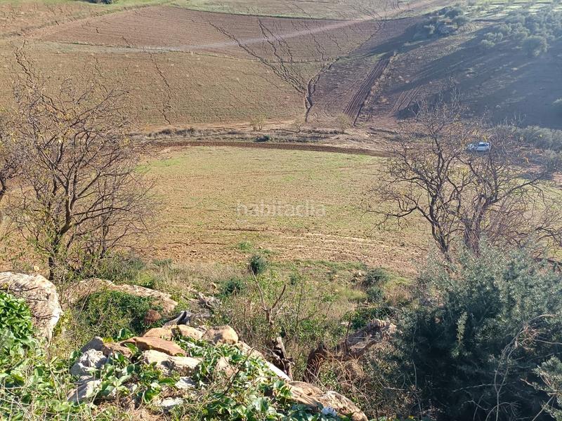 Foto ff66f1fc-38e4-4c70-9bad-eddc8ee0c281. Propriété dans Casabermeja