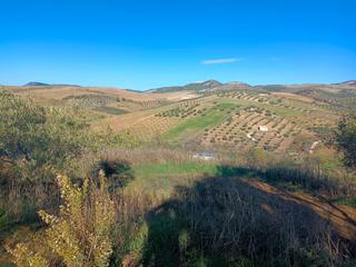 Finca rústica  N/a. Venta de parcela rústica en casabermeja 7.000 m