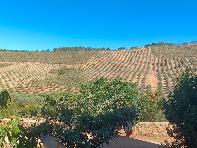 Foto 5325e23f-0320-4a75-a7ec-4d08b1a7e2b6. Casa a Archidona