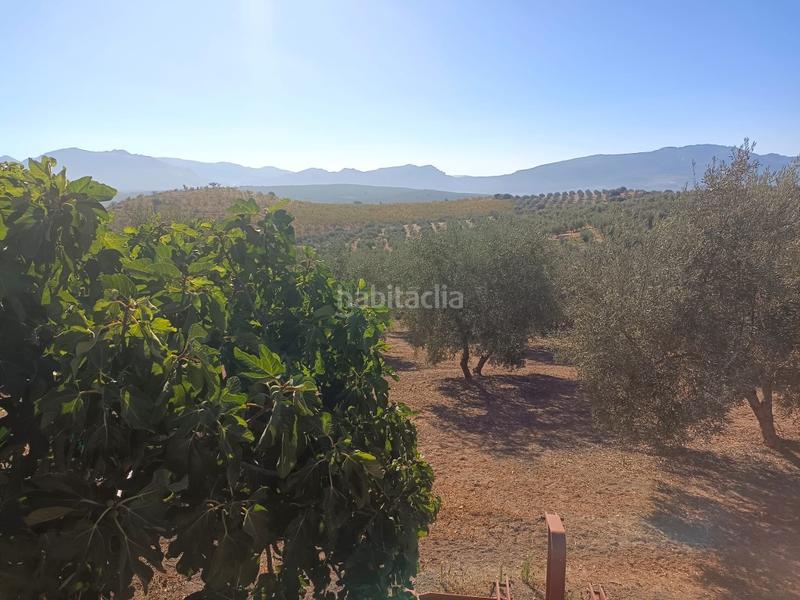 Foto 61e1e9a9-a11f-48d2-b1c3-cb75e3b90ef7. Casa a Archidona