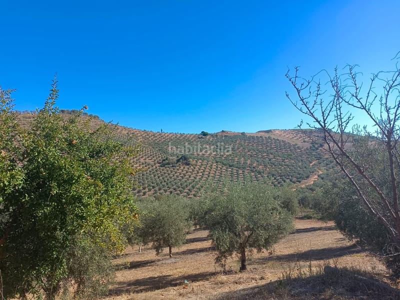 Foto b4b9f140-6e52-480a-b188-3c7b017f96be. Casa a Archidona