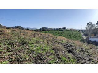 Terreny residencial a Almogía. Se vende finca con 3 parcelas juntas en almogía, málaga