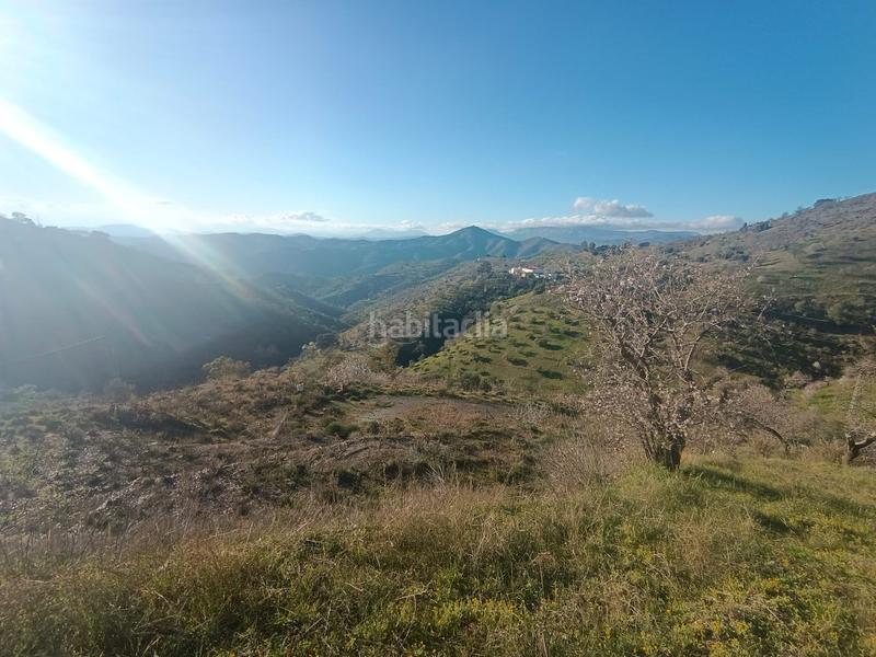 Foto 4d36b5f4-0343-4803-8a7d-cc9a7cc39392. Haus in Casabermeja