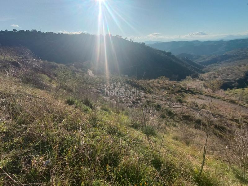 Foto 4e03bc1c-b1a6-4021-8064-f4a84d3494da. Haus in Casabermeja