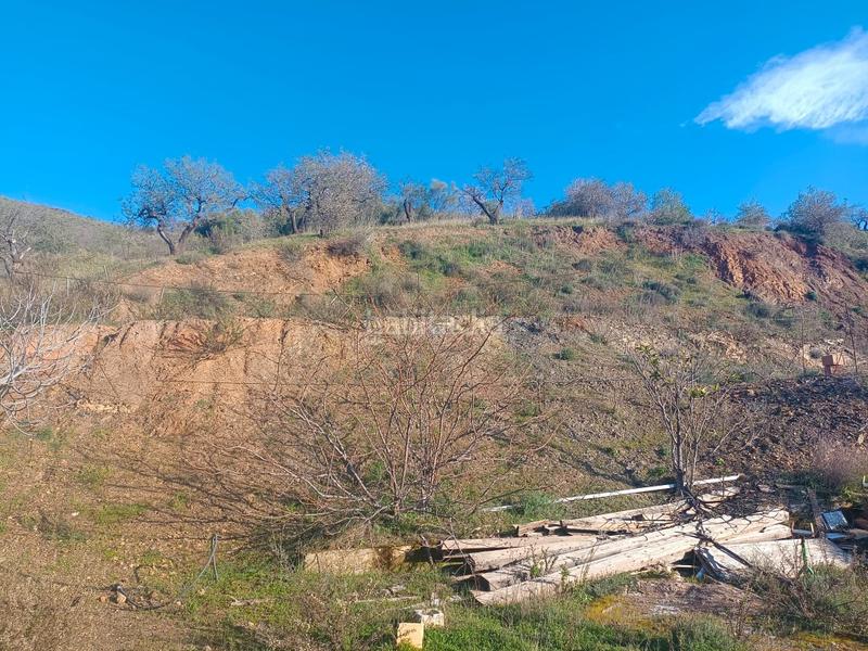 Foto 805032ee-84d3-4388-bf68-baf5dd6561d5. Haus in Casabermeja