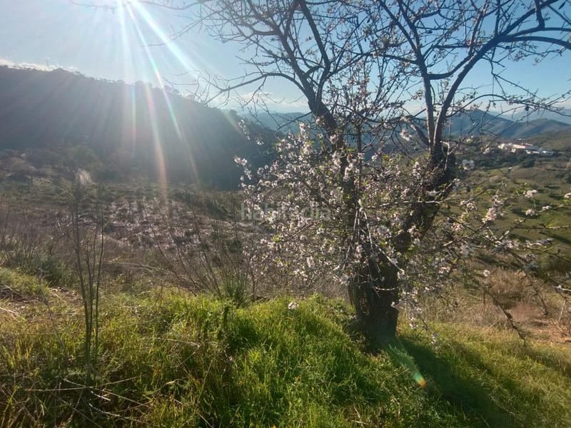 Foto 92c6a358-a1ca-4183-9fe3-cfffb1629e78. Haus in Casabermeja