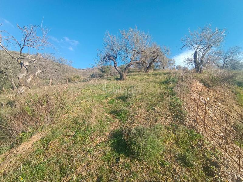 Foto a551bcc3-2c6e-4bb9-95a0-265526ee2cfb. Haus in Casabermeja