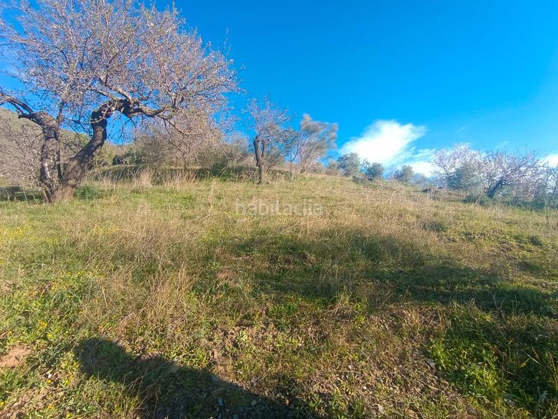 Foto e4e349e2-17be-4525-b761-e3b7e56a9a7a. Haus in Casabermeja