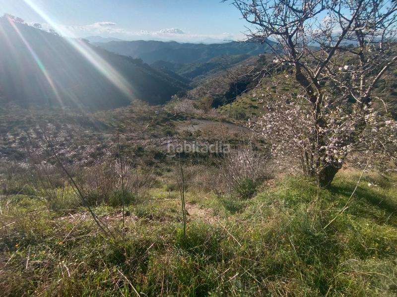 Foto eee97da9-ee82-4fb4-a934-92269e5fad88. Haus in Casabermeja