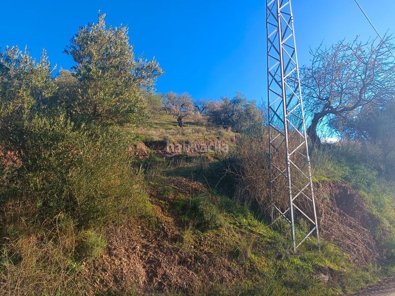 Foto f451f8cb-bace-4c98-b752-acddd657cd3d. Haus in Casabermeja