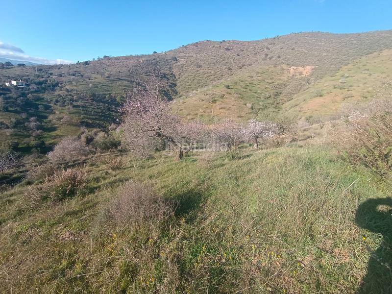 Foto f493f14b-2867-4a33-8268-66012b0be3a9. Haus in Casabermeja