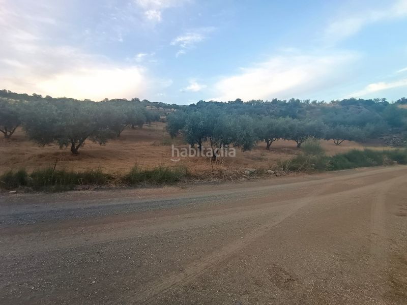 Foto 76c55421-7fa5-4611-8a6b-038b0b672c62. Finca rústica a Casabermeja