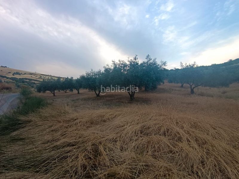 Foto 99fdb0e1-4c55-4abc-b9de-c8ec29677879. Finca rústica a Casabermeja