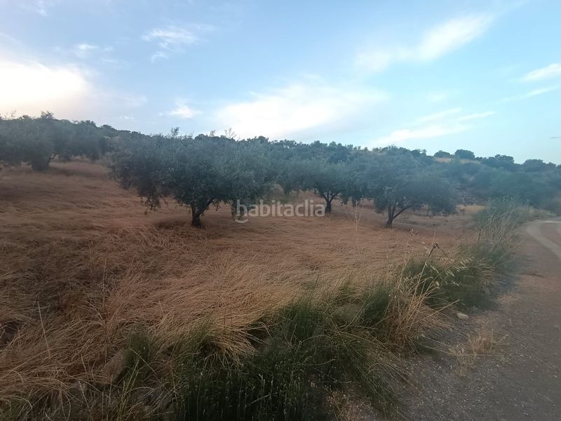 Foto a0b46162-7e7b-41e8-8ae7-61ae4abd70ee. Finca rústica a Casabermeja