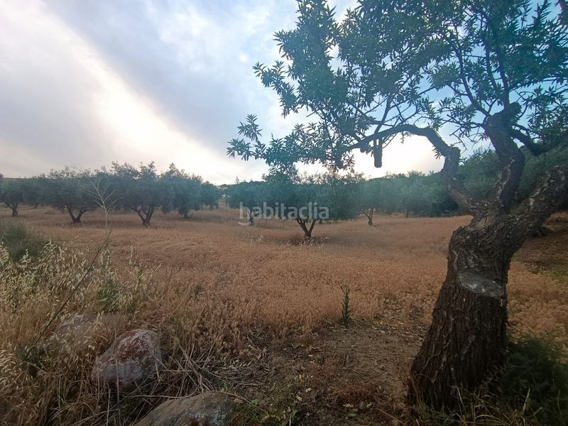 Foto a86859d9-6137-401b-86e2-bed6065c4cd8. Finca rústica a Casabermeja