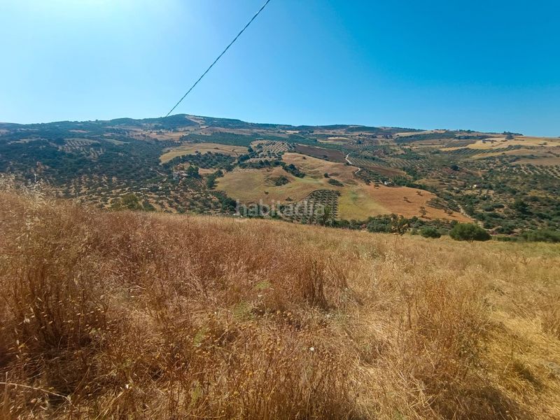 Foto fa065c89-2630-49a4-9b79-c93fd7e8708b. Casale in Villanueva De La Concepción