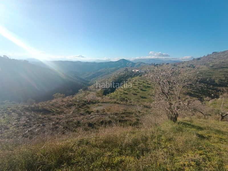 Foto 00ac047a-4597-48a9-8e1b-66b6ac8a1c4f. Finca rústica a Casabermeja