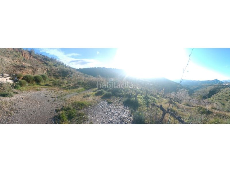 Foto 3b390538-70c2-4654-882c-5bbd2424ff06. Finca rústica a Casabermeja