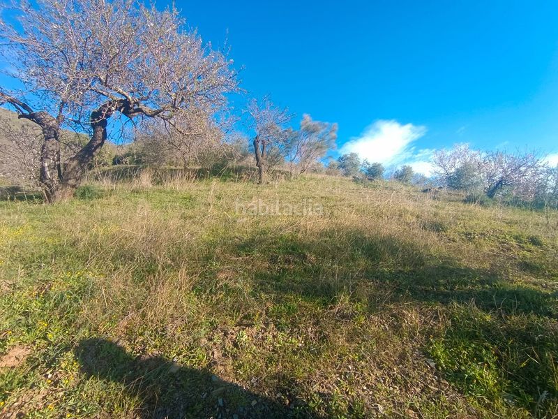 Foto 811d0930-98e9-4758-b5fb-40408d87afc4. Finca rústica a Casabermeja